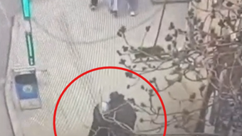 Dilencilik bahanesiyle çantanın kulpunu kesip cüzdan yağmalayan şüpheli tutuklandı