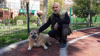 Fazla kilolarına savaş açtı! 13 yaşındaki obez köpek 'Kız' yürüyüşle zayıflamaya çalışıyor