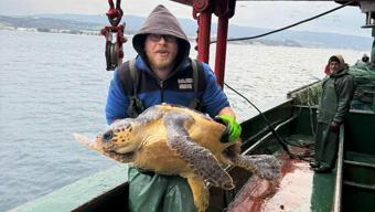 Çanakkale'de balık ağına takılan caretta caretta kurtarıldı