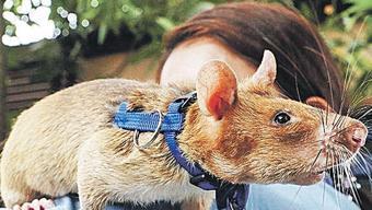 Heykeli dikilen fare