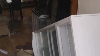 Aç kalan ayılar, pencereden girdiği yayla evini talan etti