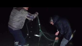 Van'da kaçak avlanan 100 kilo canlı inci kefali tekrar suya bırakıldı
