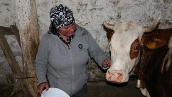 Türkiye'ye yerleşen 'yabancı gelin' hayvancılığa renk katıyor! Süt, tereyağı ve peynir üretip büyükşehirlere kilo kilo satıyor
