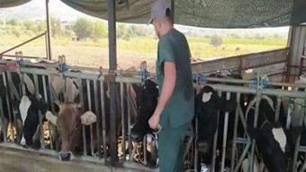 Aydın’da 17 mahallede karantina tedbirleri alındı! Hayvan giriş çıkışı yasak