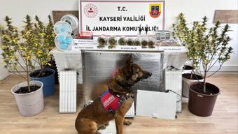 Kayseri’de uyuşturucu operasyonu: 1 gözaltı