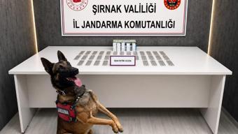 Şırnak’ta 1 haftada kaçakçılık ve narkotik operasyonlarında 145 gözaltı