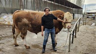 Ağırlığı tam 1 ton 190 kilo! Dev kurbanlık dudak uçuklatan fiyata alıcı buldu