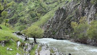 Muş’ta çaya düşen kadını arama çalışmaları sürüyor