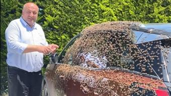 Otoparkta şaşırtan manzara! Arı sürüsü 1 saat boyunca otomobili işgal etti