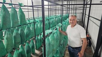 Karanlık tünelden bereket taştı! Artvin'de bir ilk: Kilosu resmen altınla yarışıyor