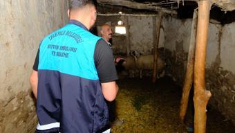 Van’da kuduz vakası sonrası mahalle karantinaya alındı