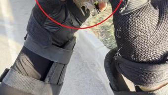 Motokurye, ağzındaki buğday tanesini çıkardığı serçeyi kurtardı