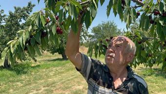 Rekor geldi ama yüzler gülmedi! Konya ve Afyonkarahisar’da üretimde tarihi patlama: Fiyatlar en dibi gördü