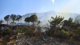 Antalya'nın 2 ilçesinde orman yangını/Ek fotoğraflar