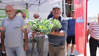 Tarlasına eken yaşadı! Yüzde 70 hibe ile bedavadan biraz pahalıya dağıtılıyor