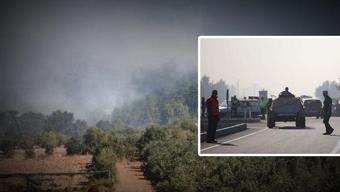 Muğla'da orman yangını kabusu! 2 ilçe birden yanıyor, kara yolu trafiğe kapatıldı!