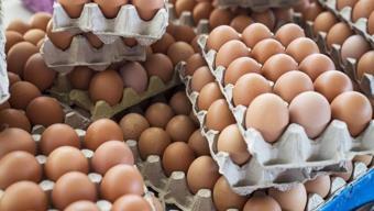 Marketten yumurta alan herkese hayati uyarı! Raftan almadan önce o işarete mutlaka bakın..
