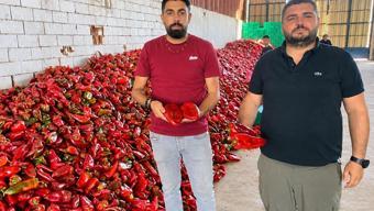 Lezzeti ve etli yapısıyla sofraların sultanıydı! Fiyatı 18 liraya geriledi: Ekim sonuna kadar devam edecek