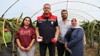 Fındığa rakip çıktı! Samsun'da üretiliyor, getirisi diğerlerine göre çok yüksek