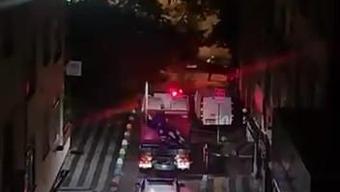 Sedir ağacı yola devrildi
