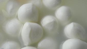 Sodyumu düşük, proteini tavan yapan peynirler belli oldu! İşte vücuda ilaç gibi gelen 9 peynir