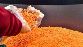 Mercimekler yıkanmalı mı, yıkanmamalı mı? Çorbanın tadını etkiliyormuş