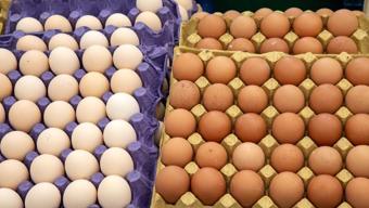Beyaz mı yoksa kahverengi mi? USDA ve beslenme uzmanları gerçek yumurta kalitesini açıkladı
