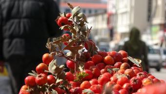 Kışın habercisi, doğanın doğal ilacı tezgaha indi! Kilosu 400 TL ama bir bardağı 50 TL'den satılıyor! Yılda sadece bir kere meyve veriyor