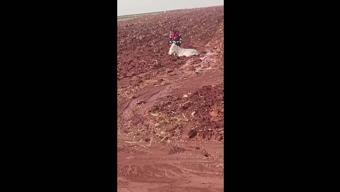 Çamura saplanan eşeği itfaiye kurtardı