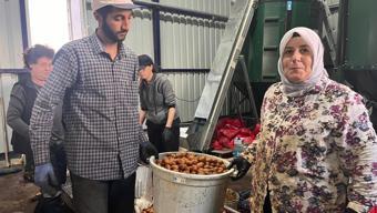 Buğday ekenler pişman olacak! Tarlada servet yatıyor: Yıllık tam 200 ton satacak...