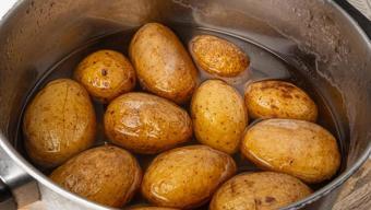 Patates haşlarken tencereye 1 kaşık ekleyin: Dağılmayı ve lapa olmayı anında önleyen mutfak hilesi