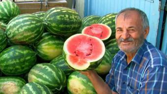 Yaz bitti, karpuz hasadı bitmedi! Gaziantep’te emekçilerin mesaisi devam ediyor, Türkiye'nin dört bir yanına gönderiliyor