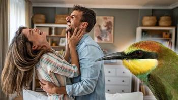 Sosyal medyanın son favorisi ilişkilerin ömrüne dair önemli ipuçları veriyor olabilir! 'Bugün bir kuş gördüm...'