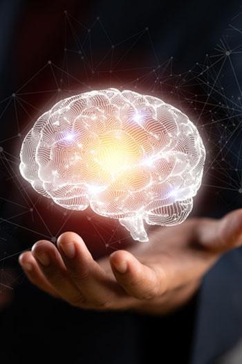 İnsan beyni 18'de değil 32 yaşında olgunlaşıyor! Bilimsel araştırmalarla kanıtlandı