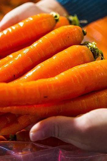 Havucu böyle tüketenler faydasını görüyor