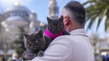 İstanbul sokaklarında bir baba kız masalı!