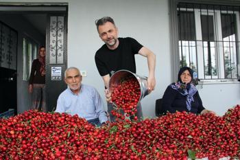 İzmir ve Manisa'da hasadı başladı!