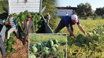 Almak için gün doğmadan sıraya giriyorlar!