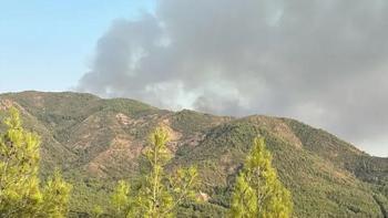 Manisa ve Marmaris'te orman yangını! Ekipler seferber oldu