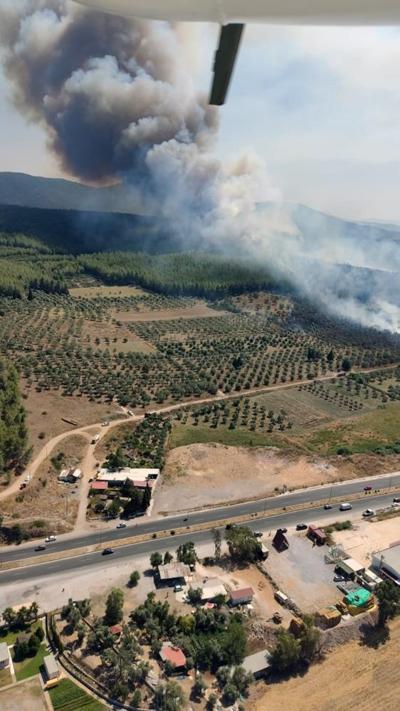 160 hektar ormanı böyle yakmış Yangını çıkaran tek tek itiraf etti