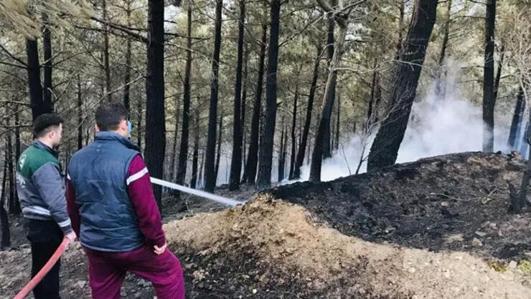 Tam 18 saat sürdü Çanakkale ve Bursadaki orman yangınları söndürüldü