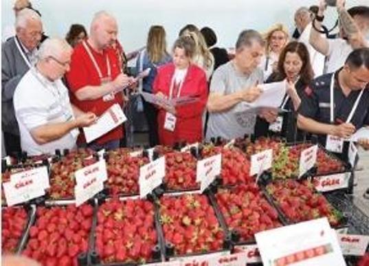 Çömleğin, tarihin ve sanatın kenti: Menemen