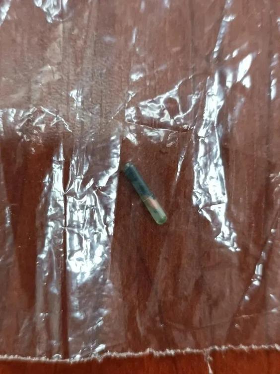 Hipodromdan aşevine Yarış atını kesip kavurma yaptılar: Böyle ortaya çıktı