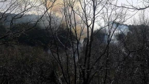 İzmirde orman yangını Müdahale sürüyor