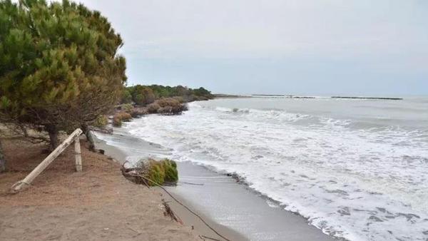 Karadeniz 150 metre kumsalı yuttu, evler tehdit altında