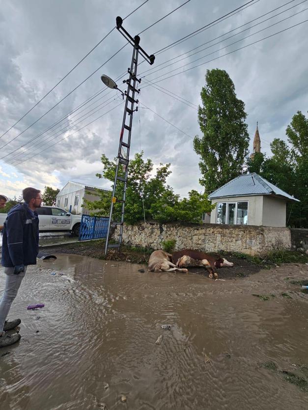 Mevsimler yer değiştirdi Kış erken geldi