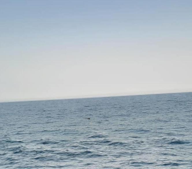 Son dakika: Karadenizde ikinci mayın MSB duyurdu