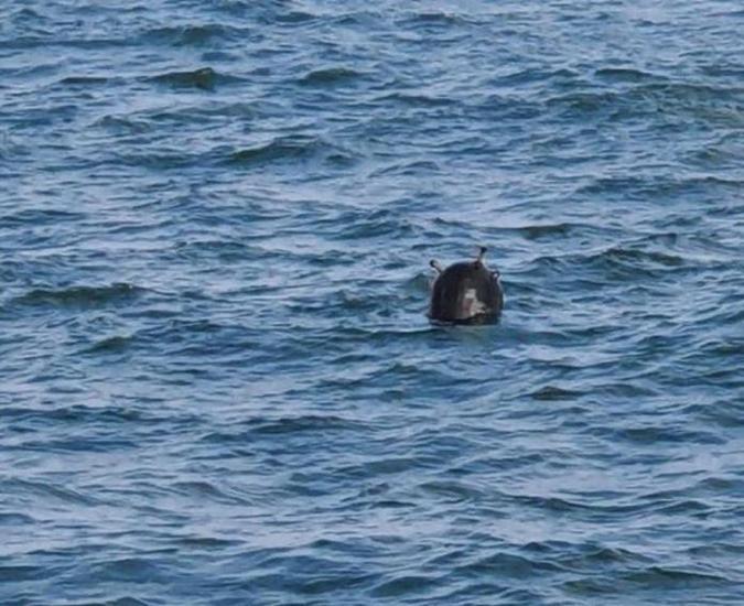 Son dakika: Karadenizde ikinci mayın MSB duyurdu