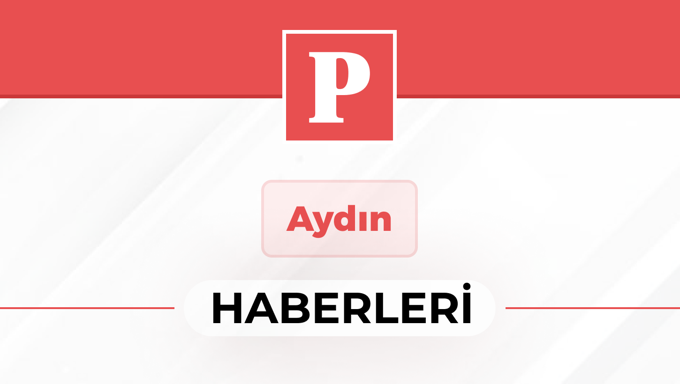 Aydın'da devrilen kamyonetin sürücüsü öldü