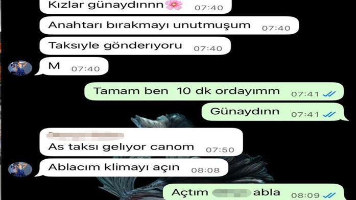 Pet otelde skandal Bıraktığı köpeği hayatını kaybetti